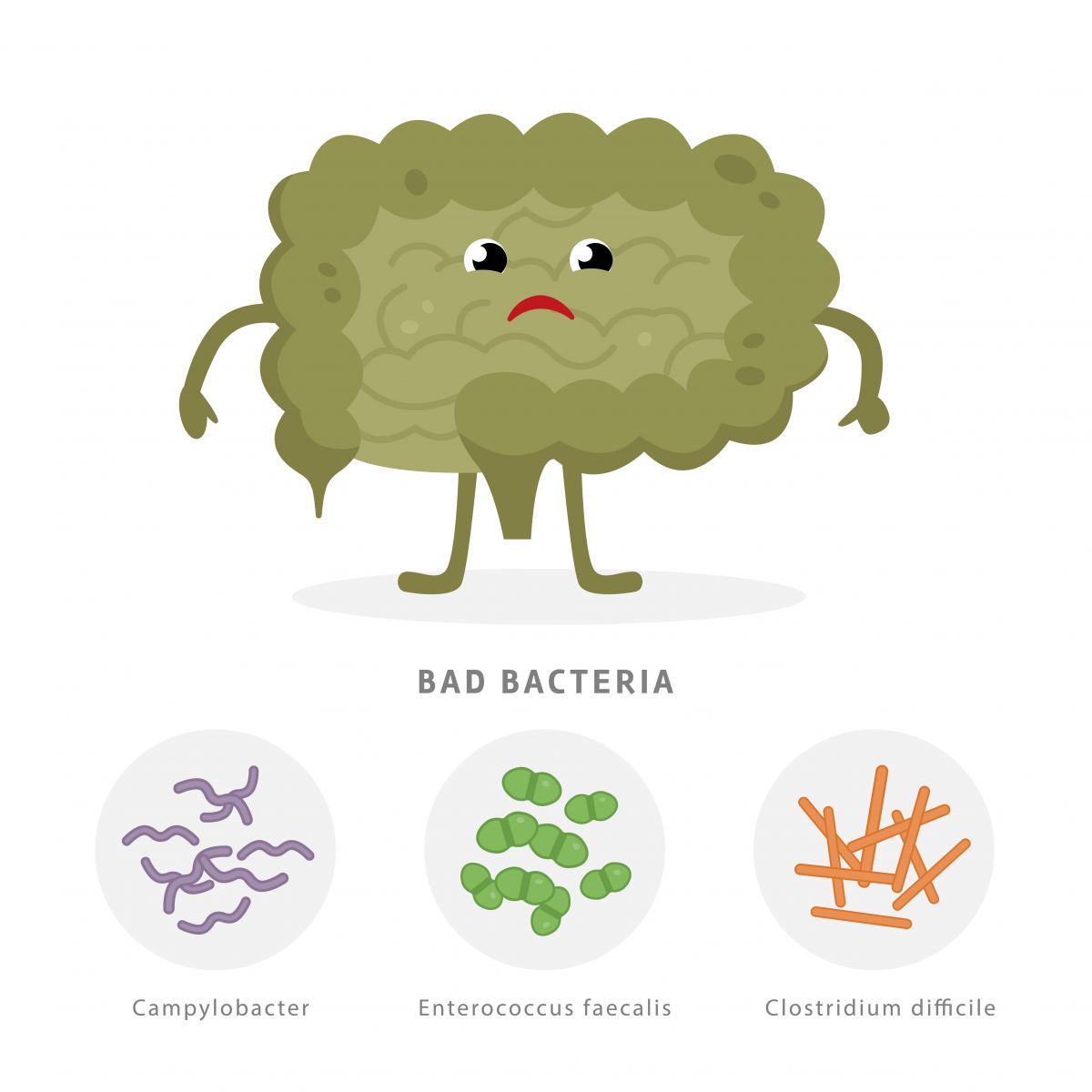 clostridium-difficile-an-intestinal-infection-on-the-rise-harvard-health